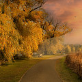 Willows at Lake Nokomis